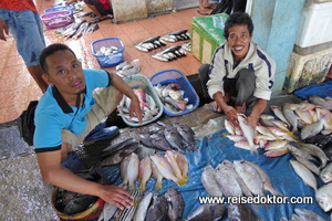 Fischmarkt Sulawesi