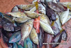 Sulawesi Fischmarkt