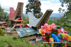 Begräbniszeremonie in Tana Toraja - Tag 1