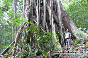 Tangkoko Nationalpark