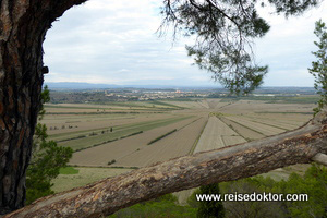 Etang de Montady