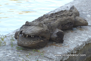 Krokodil am Canal du Midi