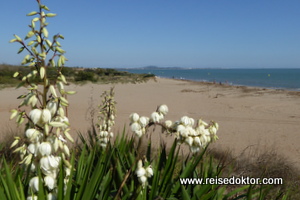 Portiragnes Strand