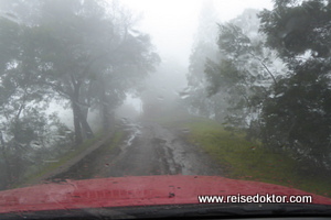 Pico da Cruz im Nebel