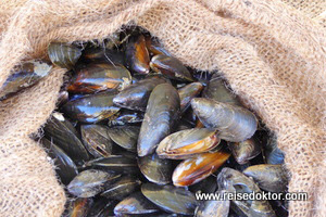 Fischmarkt in Nizza