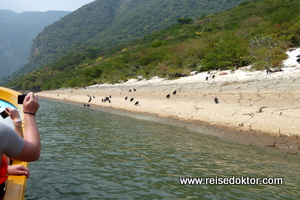 Bootsfahrt Sumidero Canyon