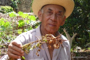 Mayakultur auf der Halbinsel Yucatán