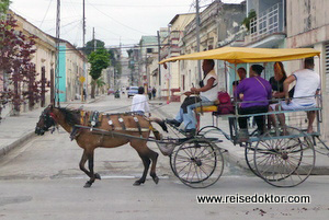 Pferdefuhrwerk in Manzanillo