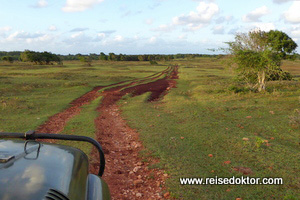 Safari Cayo Saetia