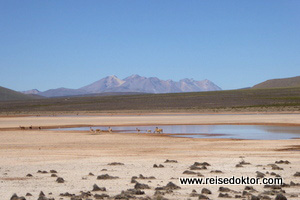 Andenhochland von Peru