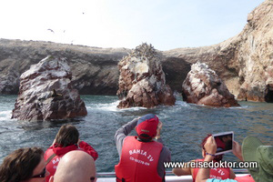 Ballestas Inseln Peru