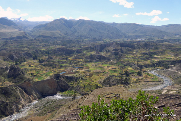 Colca Canyon Peru