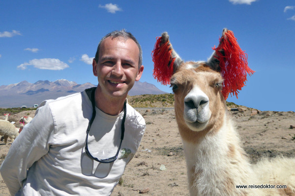 Treffen mit einem Lama in Peru