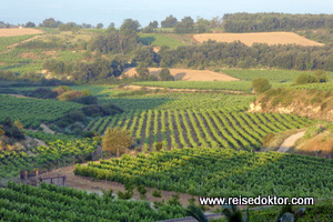 Rioja, Spanien