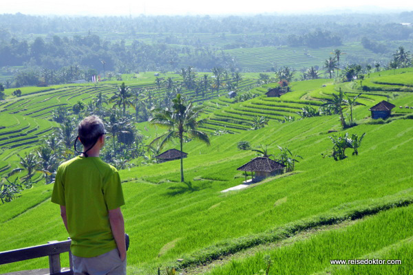 Jatiluwih Reisterrassen Bali