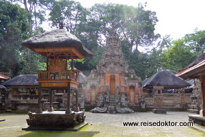 Monkey Forest Tempel