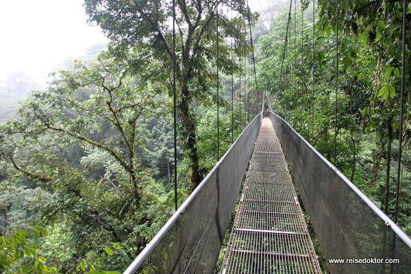 Hängebrücke Costa Rica