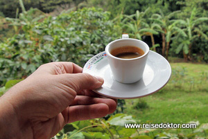 Kaffee Espresso Costa Rica