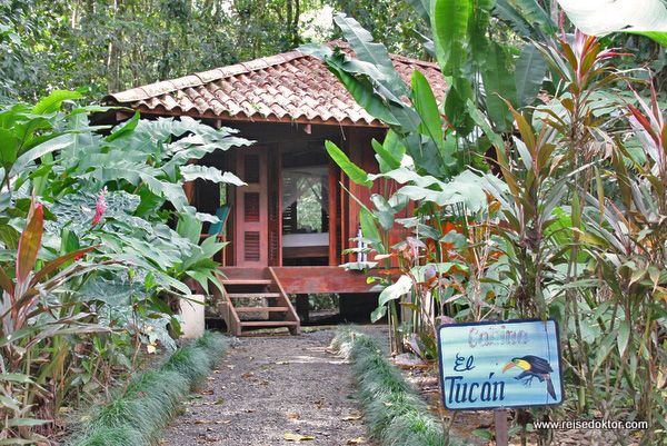 Nicuesa Lodge Cabin