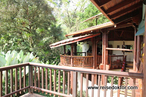 Nicuesa Rainforest Lodge