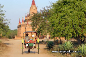 Pferdekutsche in Bagan