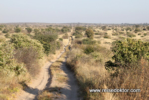 Central Kalahari Game Reserve