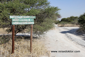 Pisten in der Kalahari