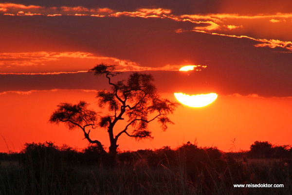 Sonnenuntergang Chobe Nationalpark