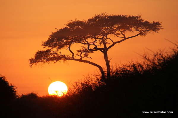 Sonnenuntergang Kalahari