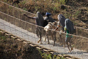 Esel über Hängebrücke