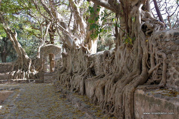 Gondar Wasserschloss Mauer